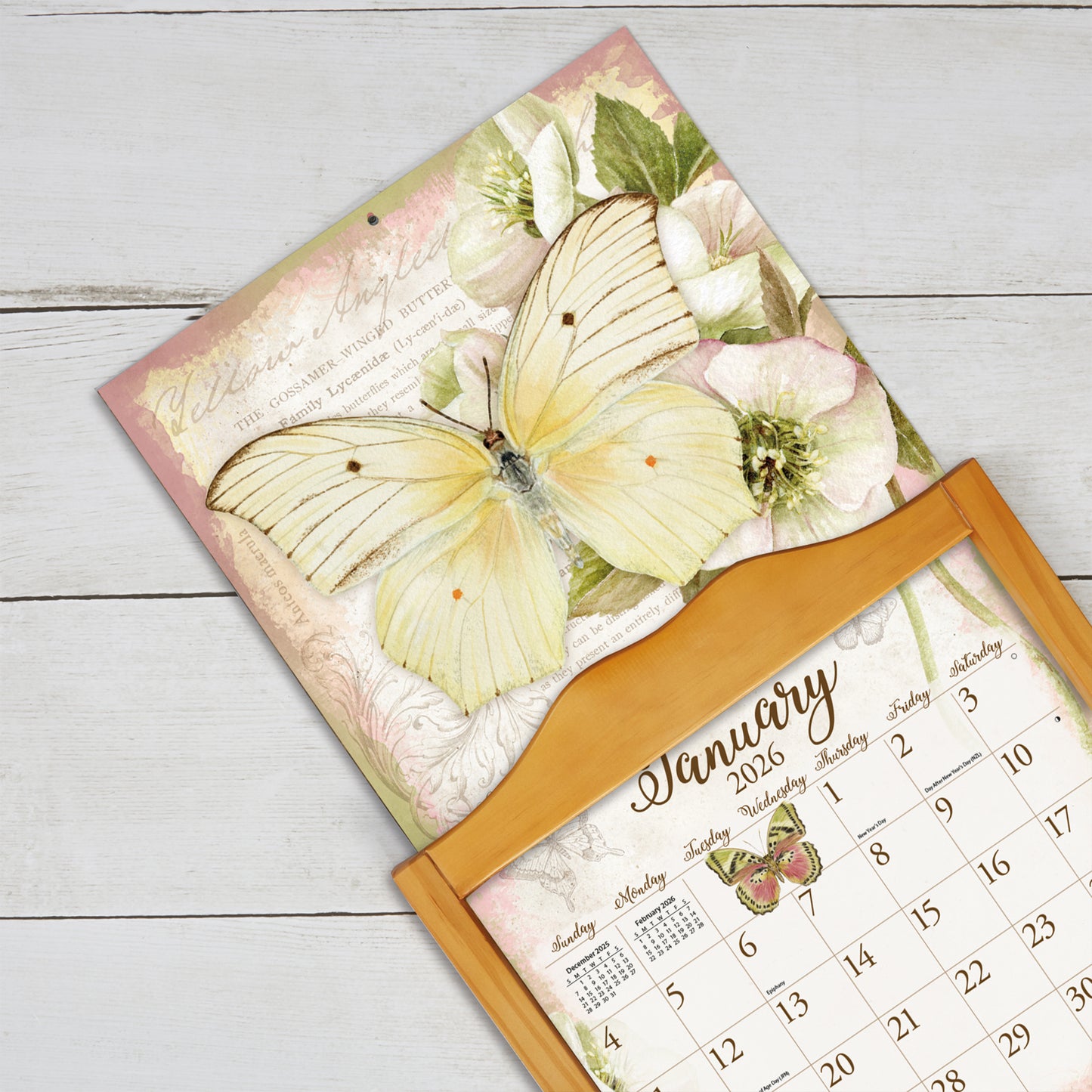 Butterflies 2026 Wall Calendar