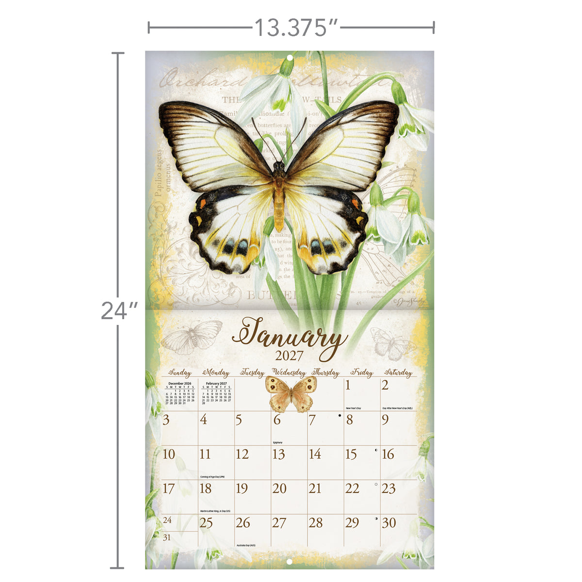 Butterflies 2027 Wall Calendar