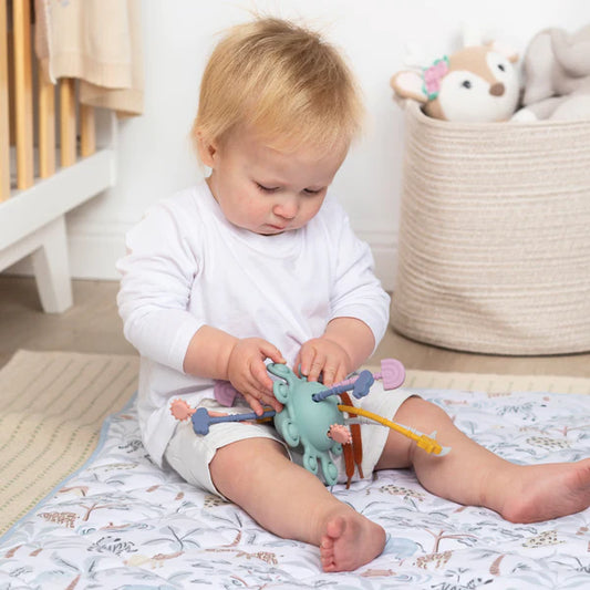 Silicone Activity Toy