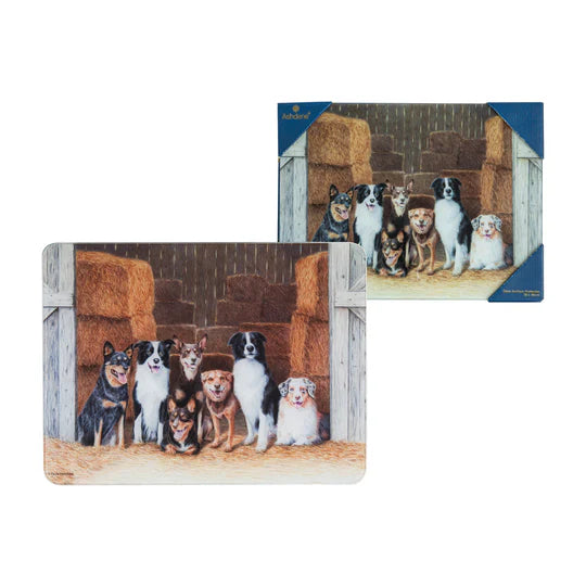 Working Dogs Surface Protector | Hay Shed