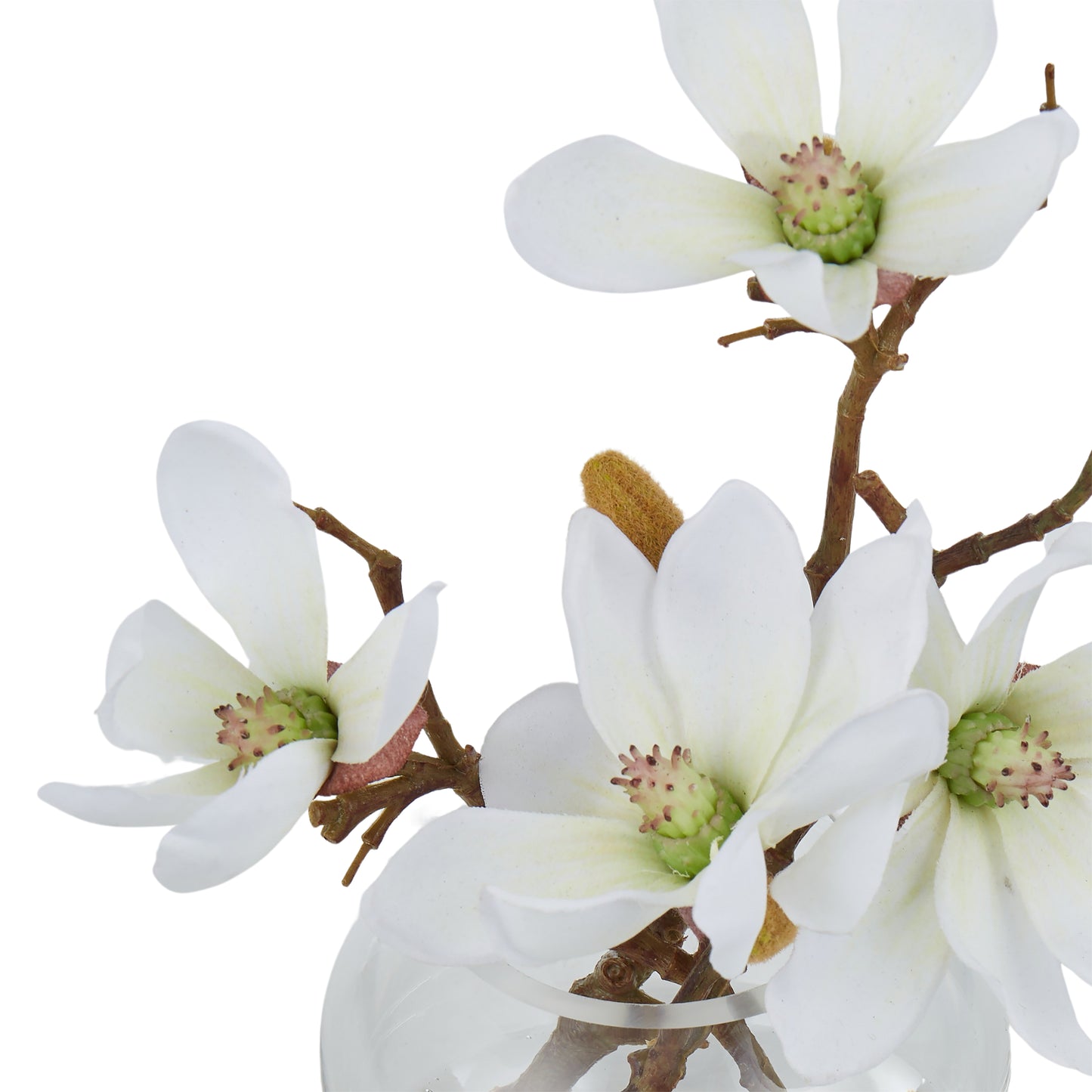 Mini Magnolia Sphere Vase