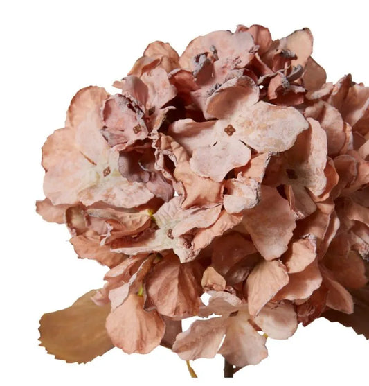 Hydrangea Anna Decor Stem
