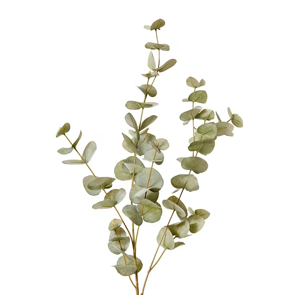 Eucalyptus Spray | Grey/Green