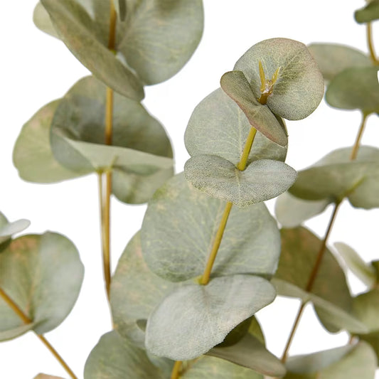 Eucalyptus Spray | Grey/Green