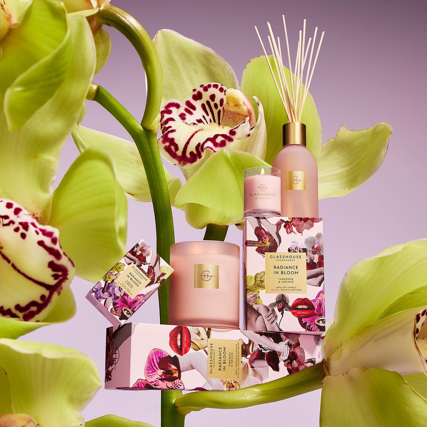 Radiance In Bloom | Tuberose & Orchid