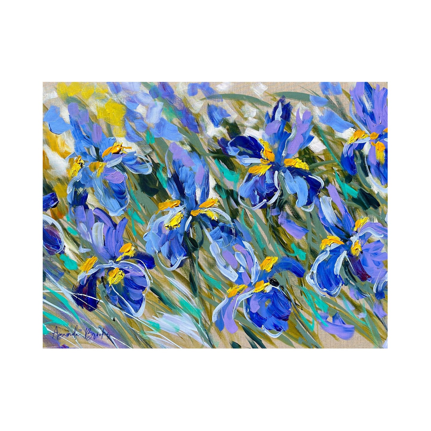 Iris Landscape Placemats