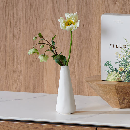 Diffuser - Field Almond White