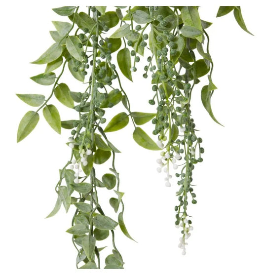 Budding Hanging Plant