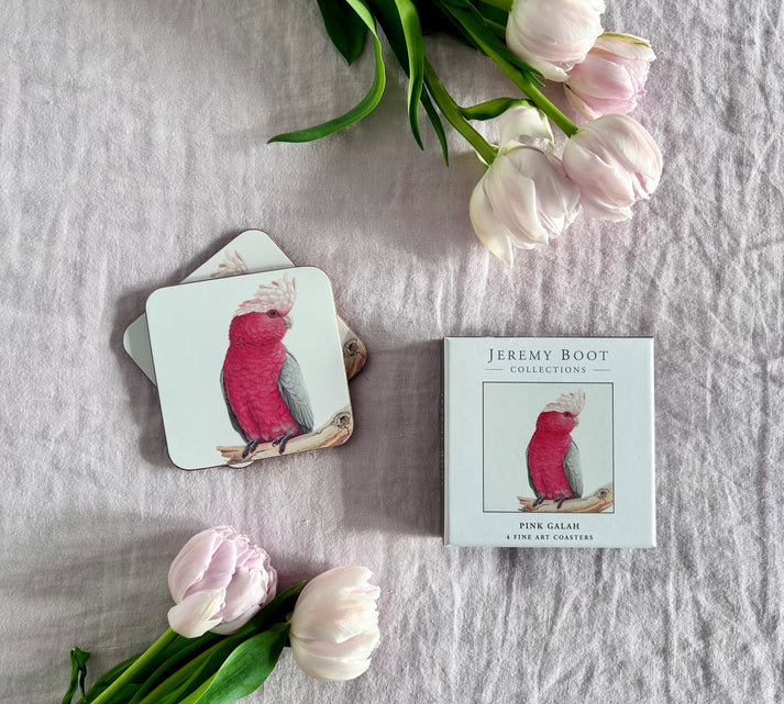 Coasters | Galah