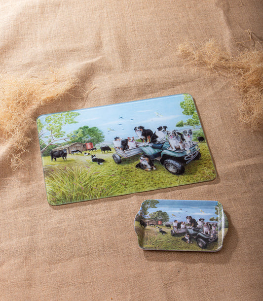 Working Dogs Surface Protector | Quad Bike