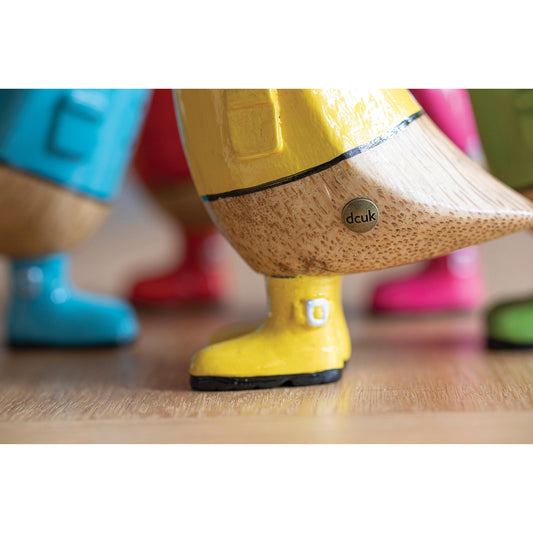 DCUK Duckling Raincoat