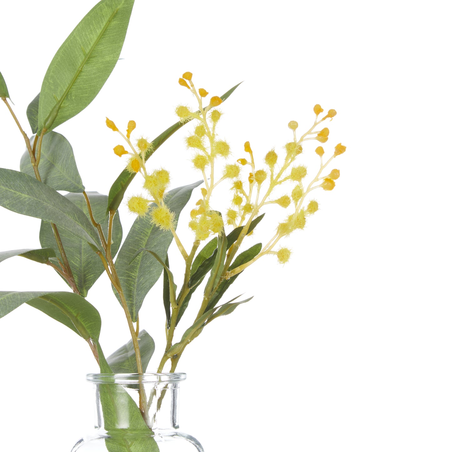 Eucalyptus Wattle Mix Specimen Bottle