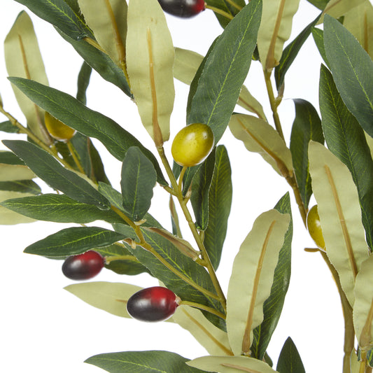 Olive Leaf Spray