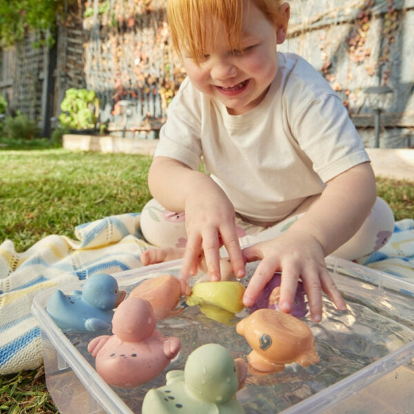 Eco-Friendly Counting Ducks