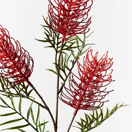 Grevillea Spray