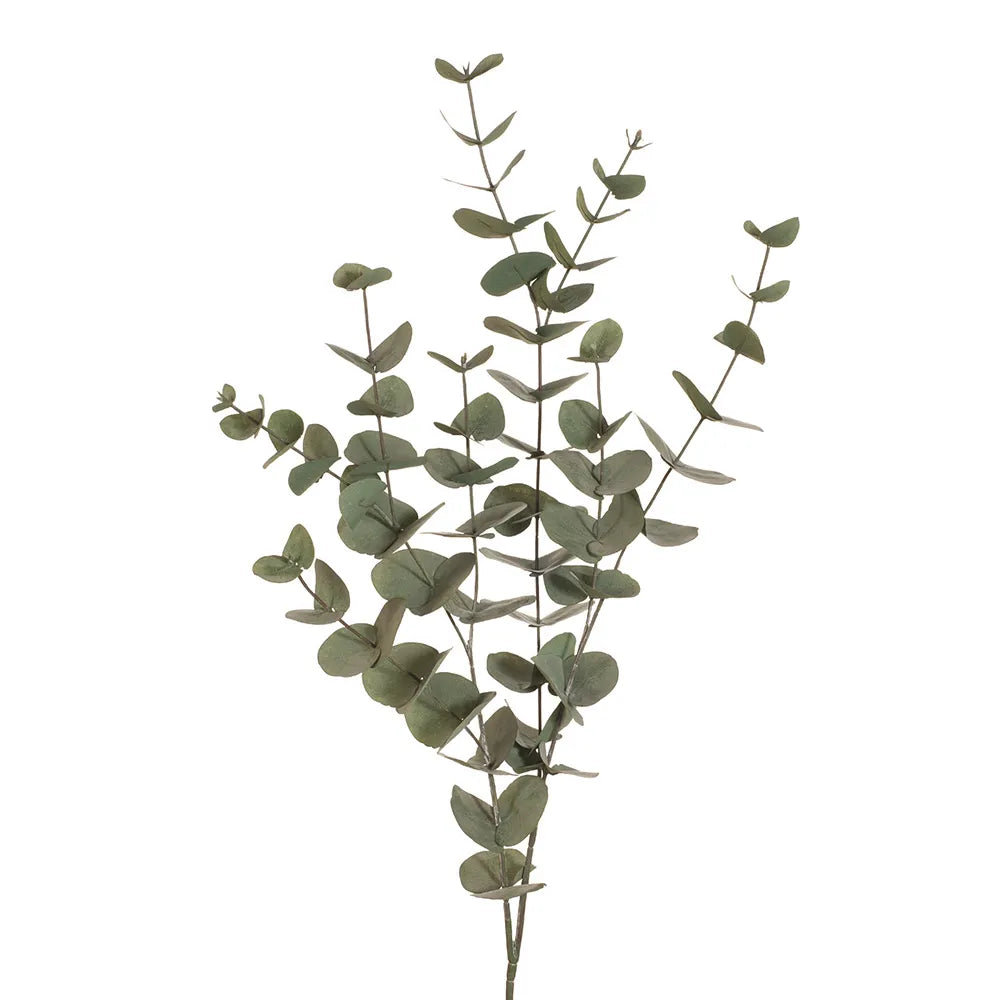 Eucalyptus Silver Dollar Spray