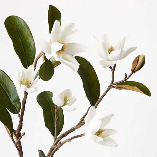 Magnolia Pearl Spray