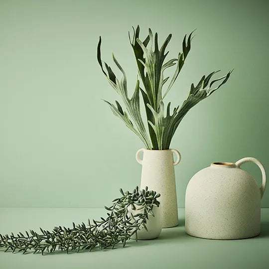 String of Bananas in Pot