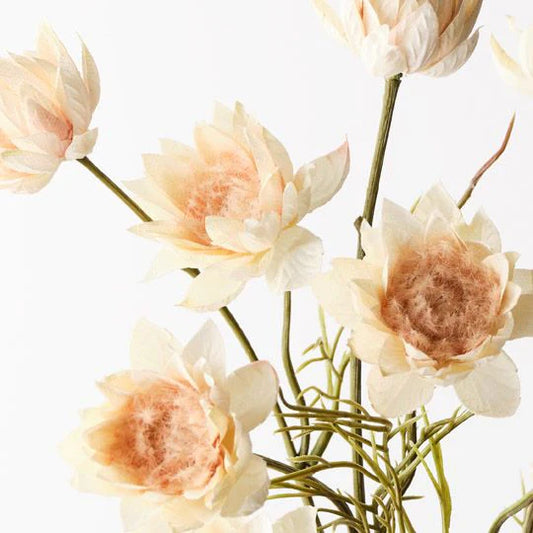 Blushing Bride Spray