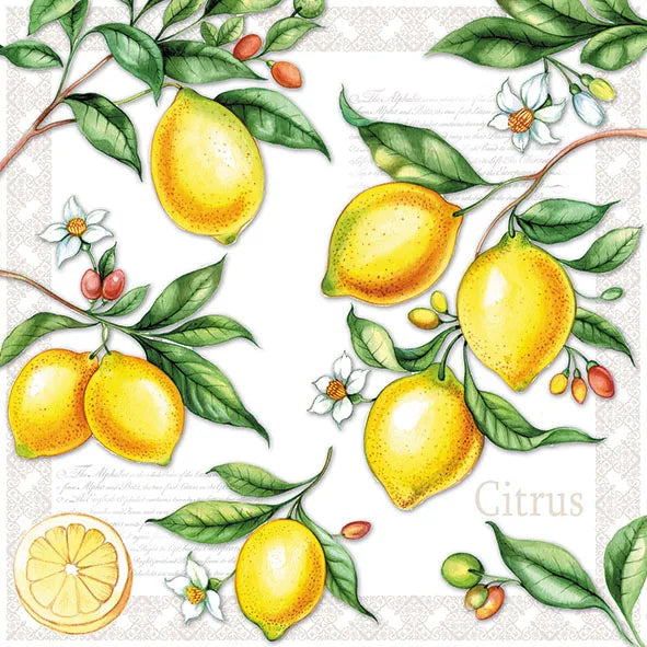 Luncheon Napkin Citrus