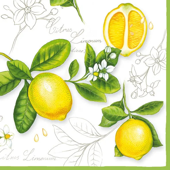 Luncheon Napkin Citrus Limonum