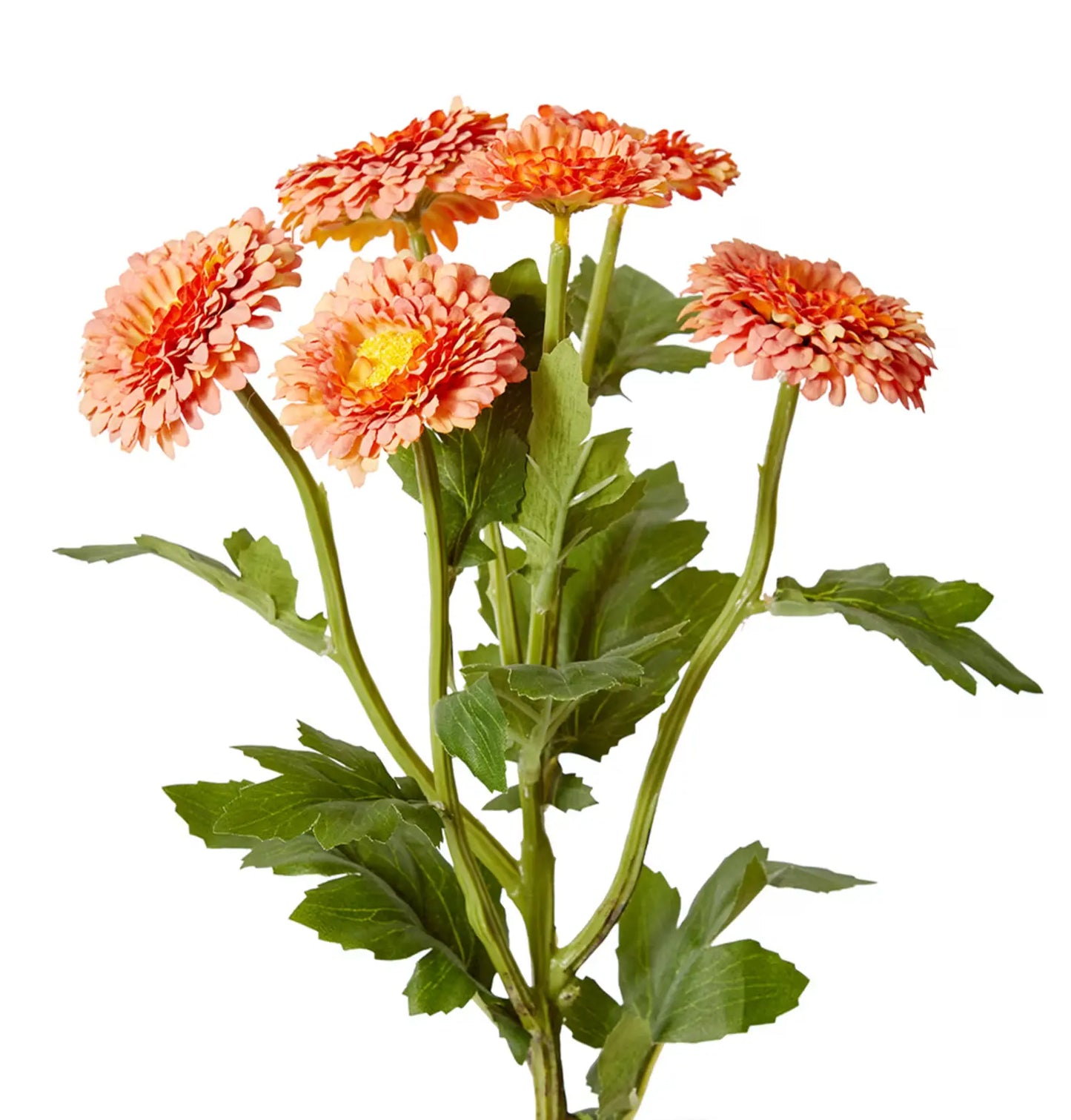 Chrysanthemum Spray