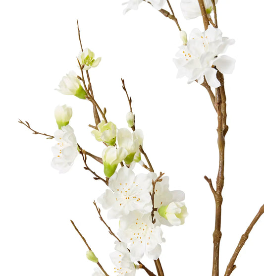 Blossom Plum Spray