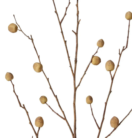 Berry Pod Dried Look Branch