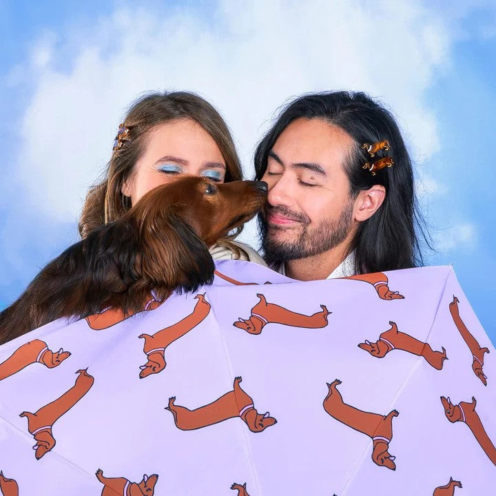 Original Duckhead Umbrella | Dachshund