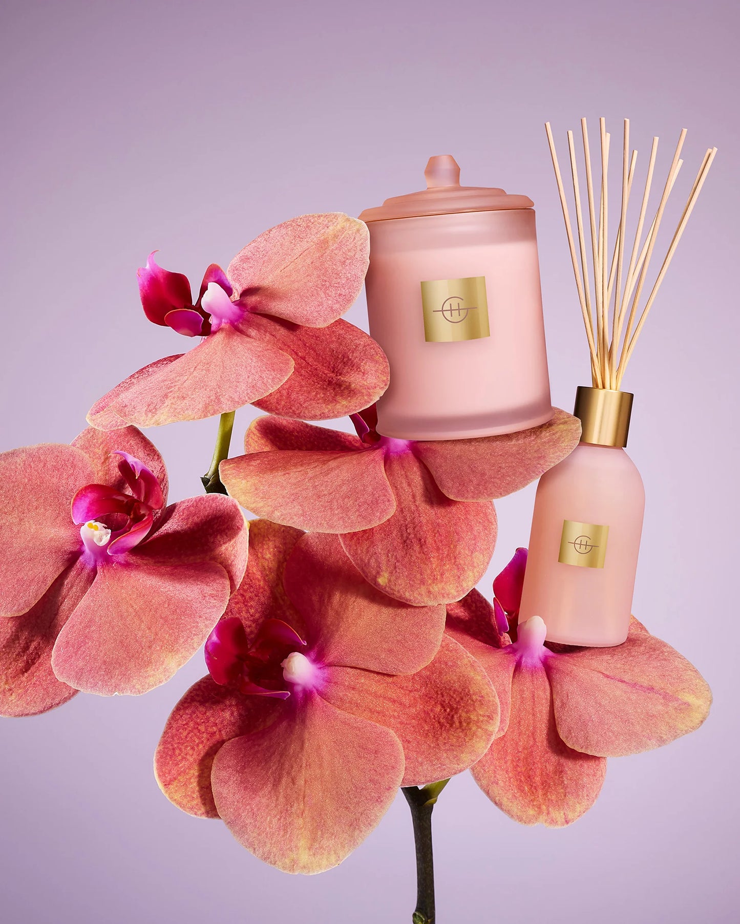 Radiance In Bloom | Tuberose & Orchid