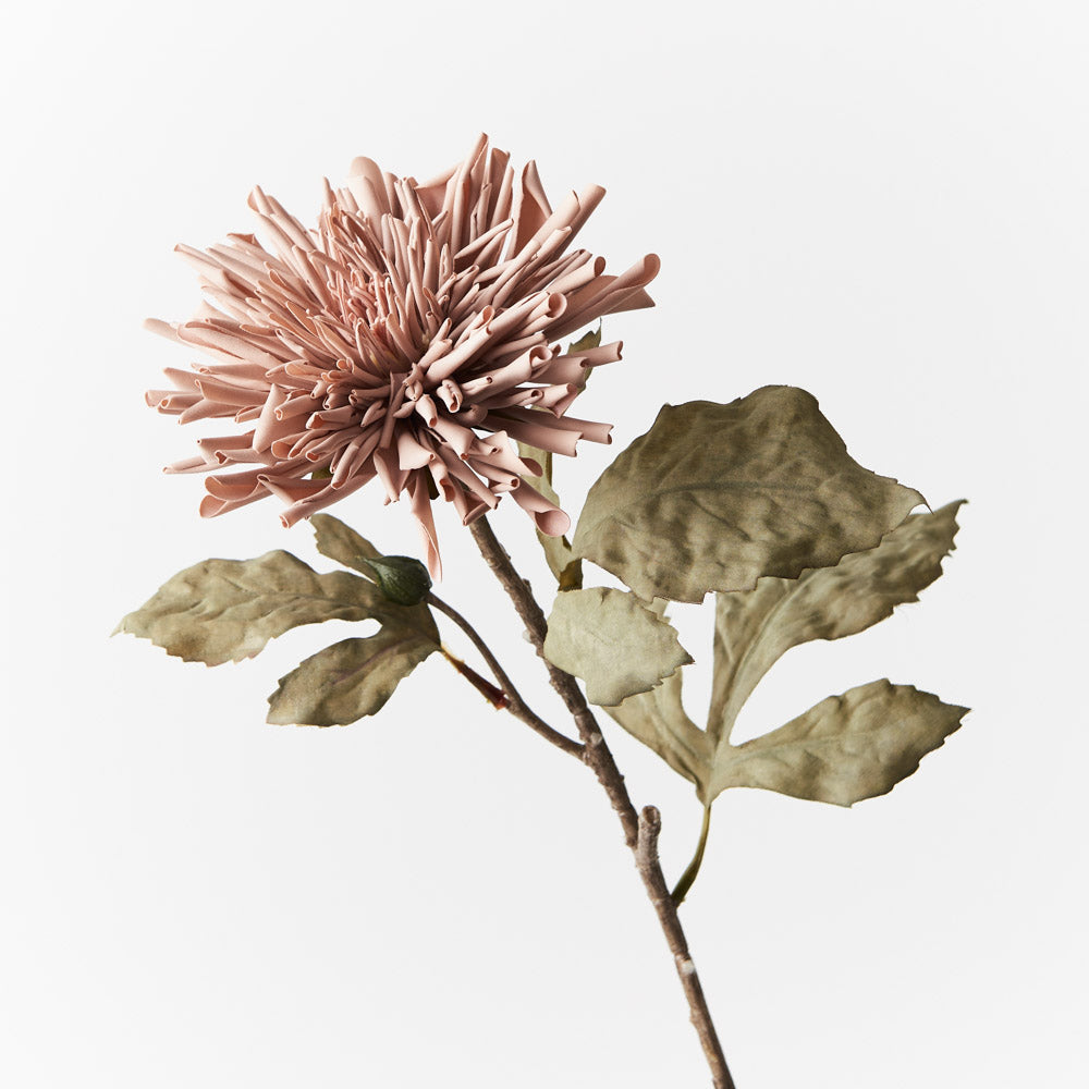 Dahlia Celeste Spray