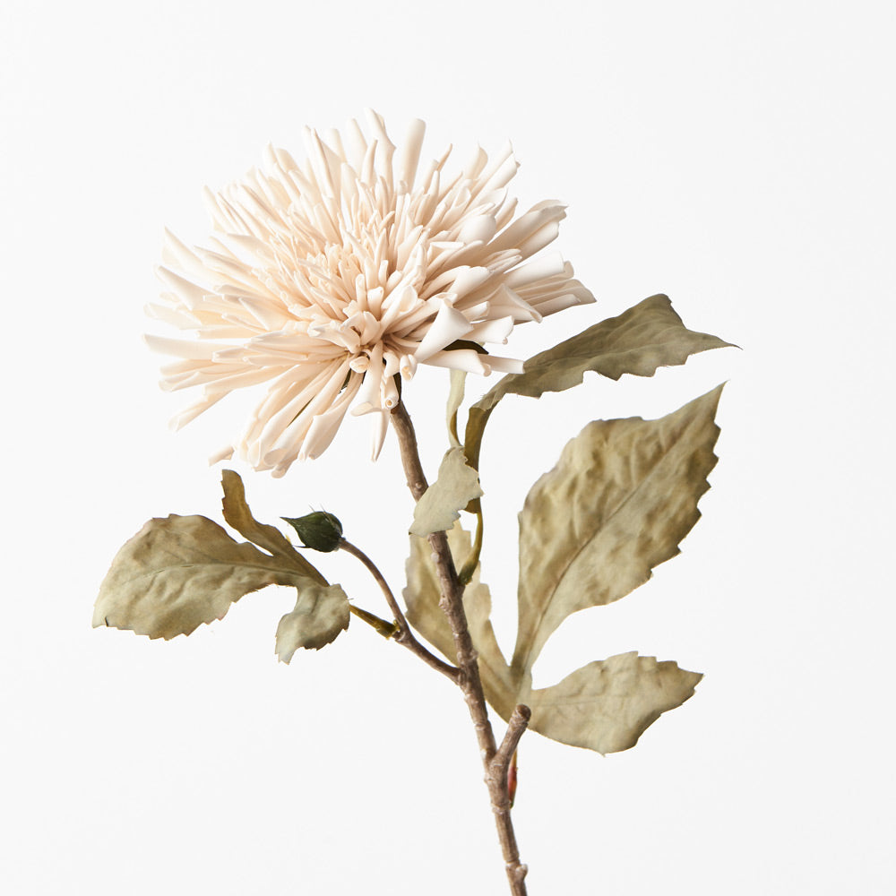 Dahlia Celeste Spray