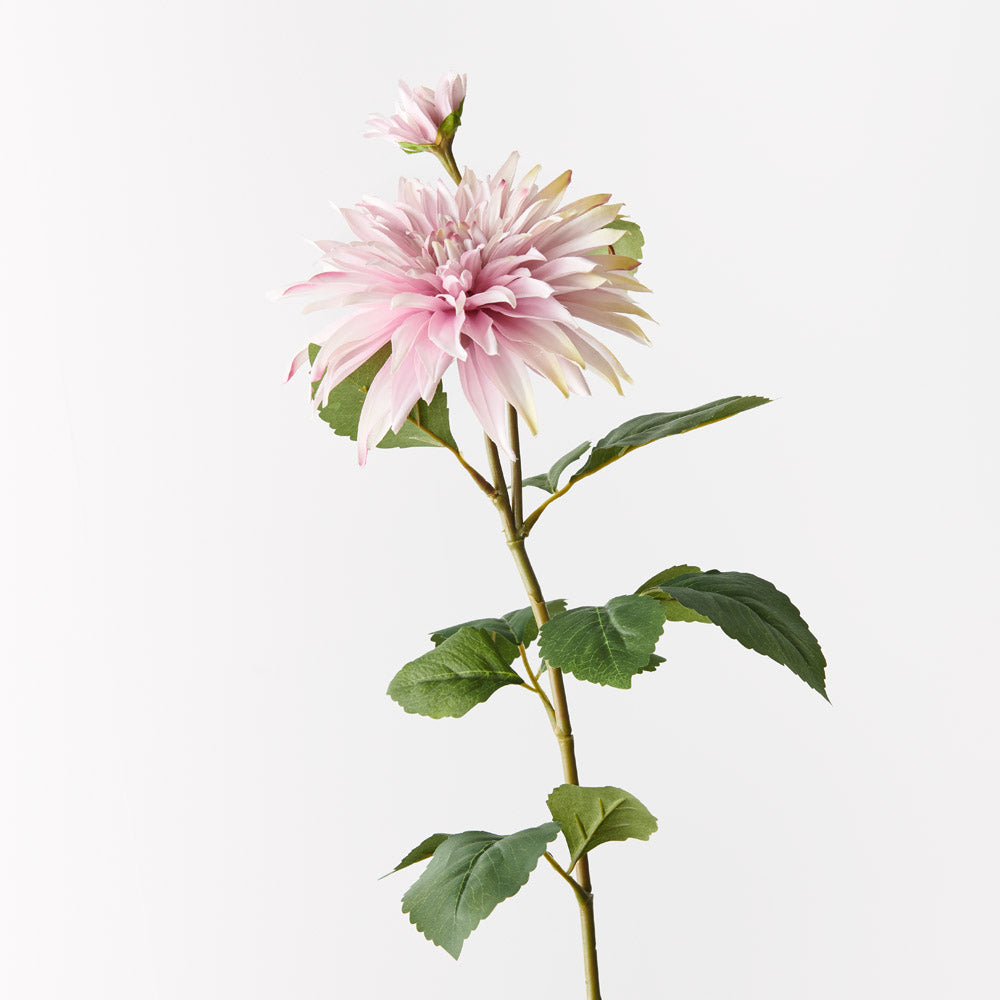 Dahlia Spray