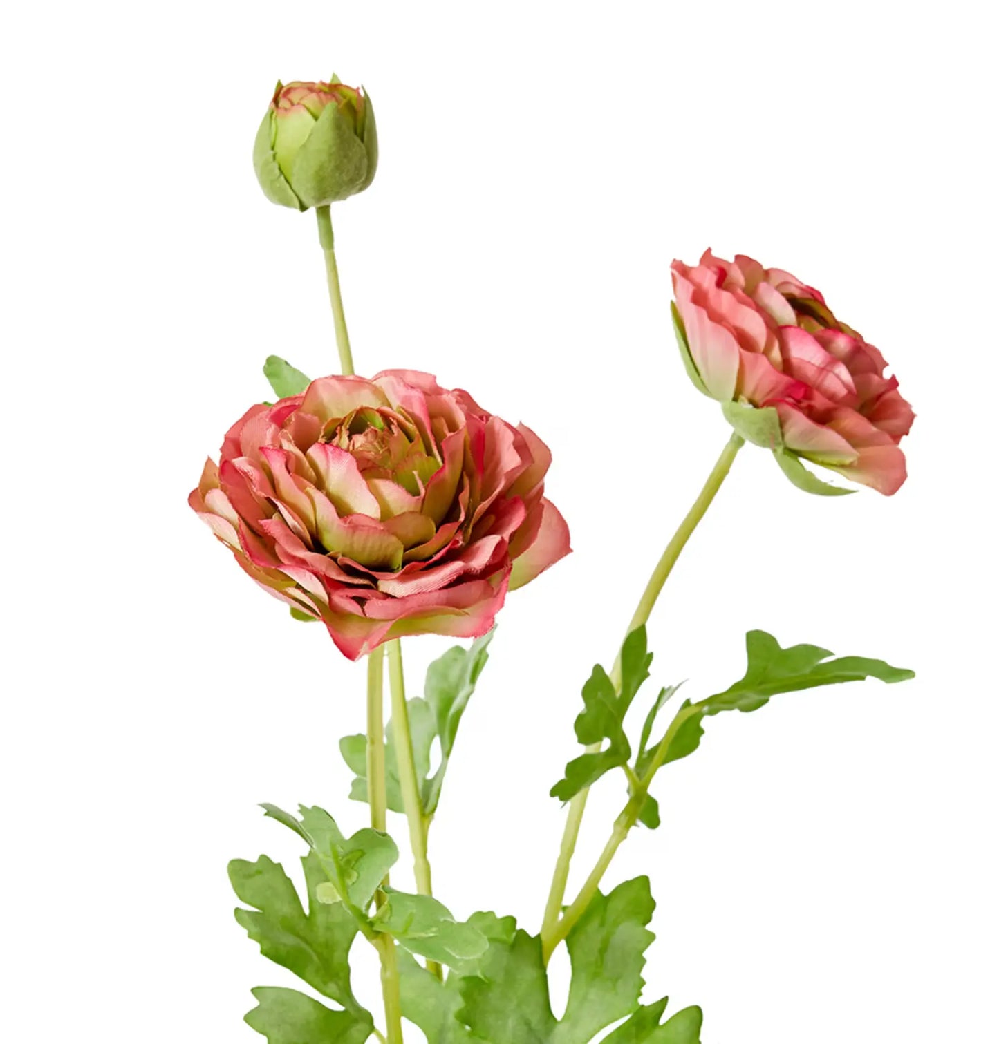Ranunculus Flower Spray