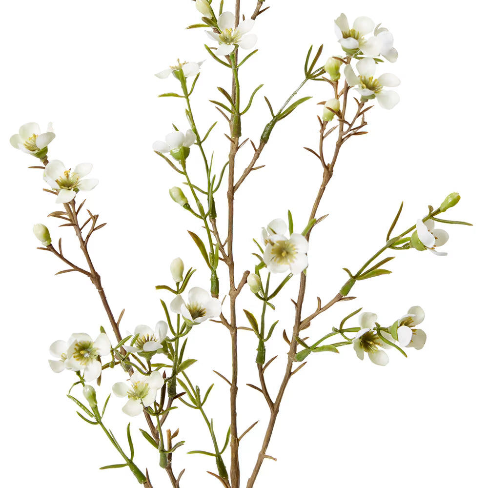 Wax Flower Spray | White