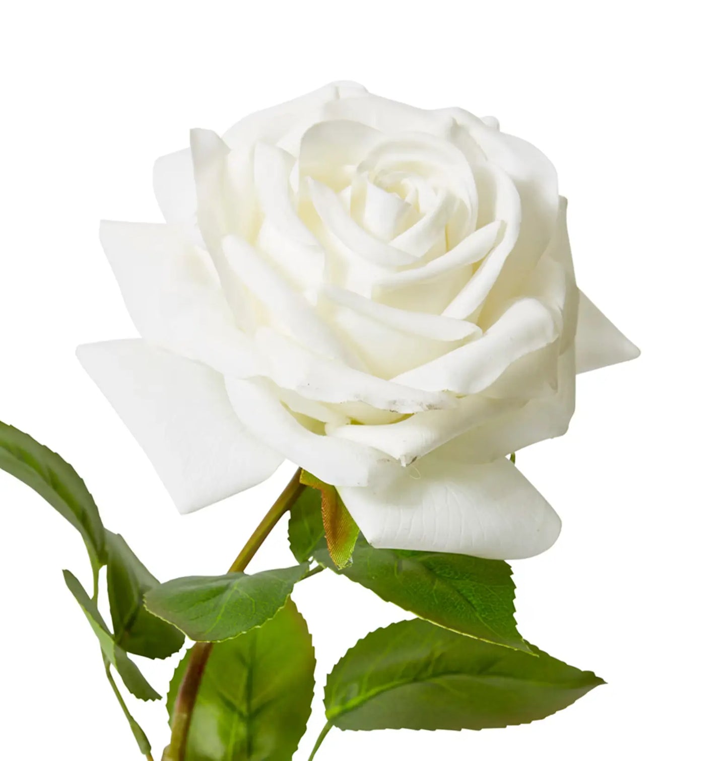Rose Garden Stem