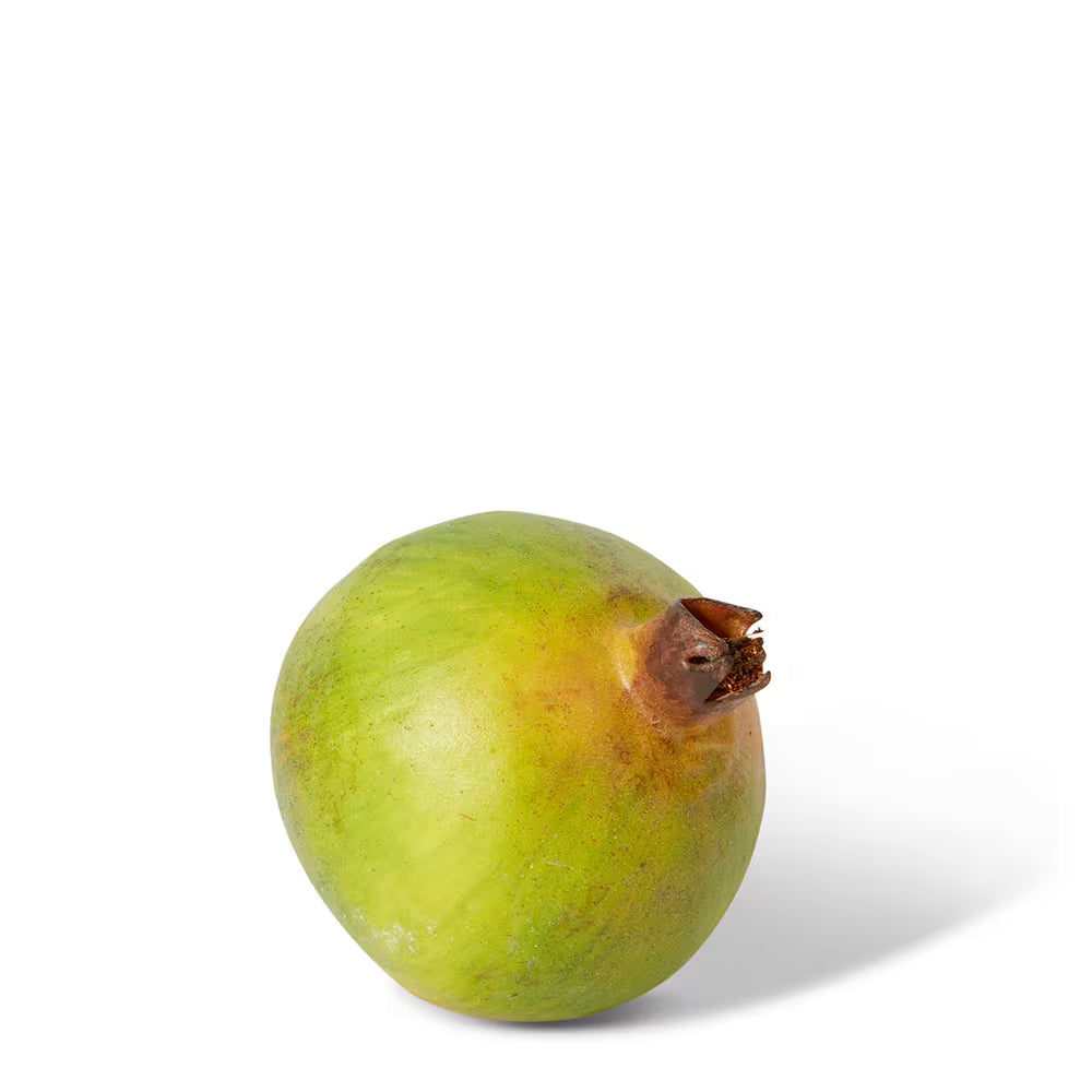 Pomegranate Grand | Green