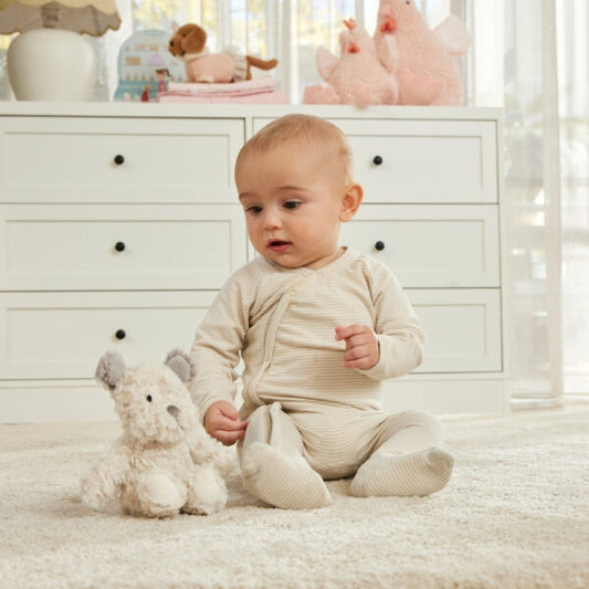 Scruff The Dog Rattle