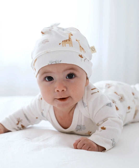 6pce Essentials Set | Safari