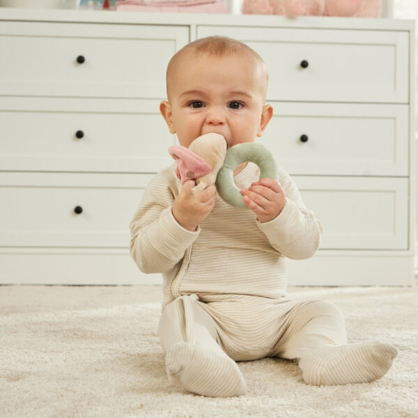 Minnie the Ladybird Rattle