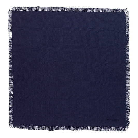 Fray Lapis Napkins - Set 4