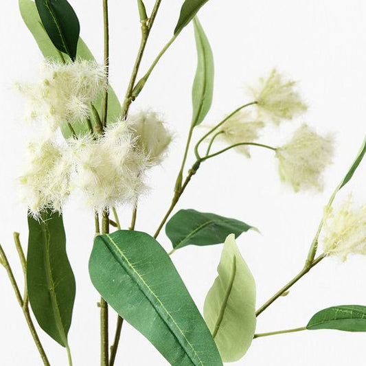 Eucalyptus Lemon Scented