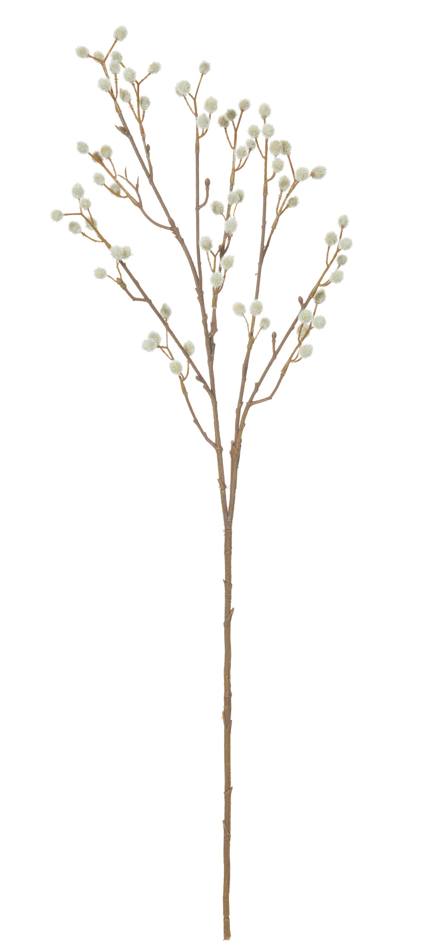 Stem Willow Spray