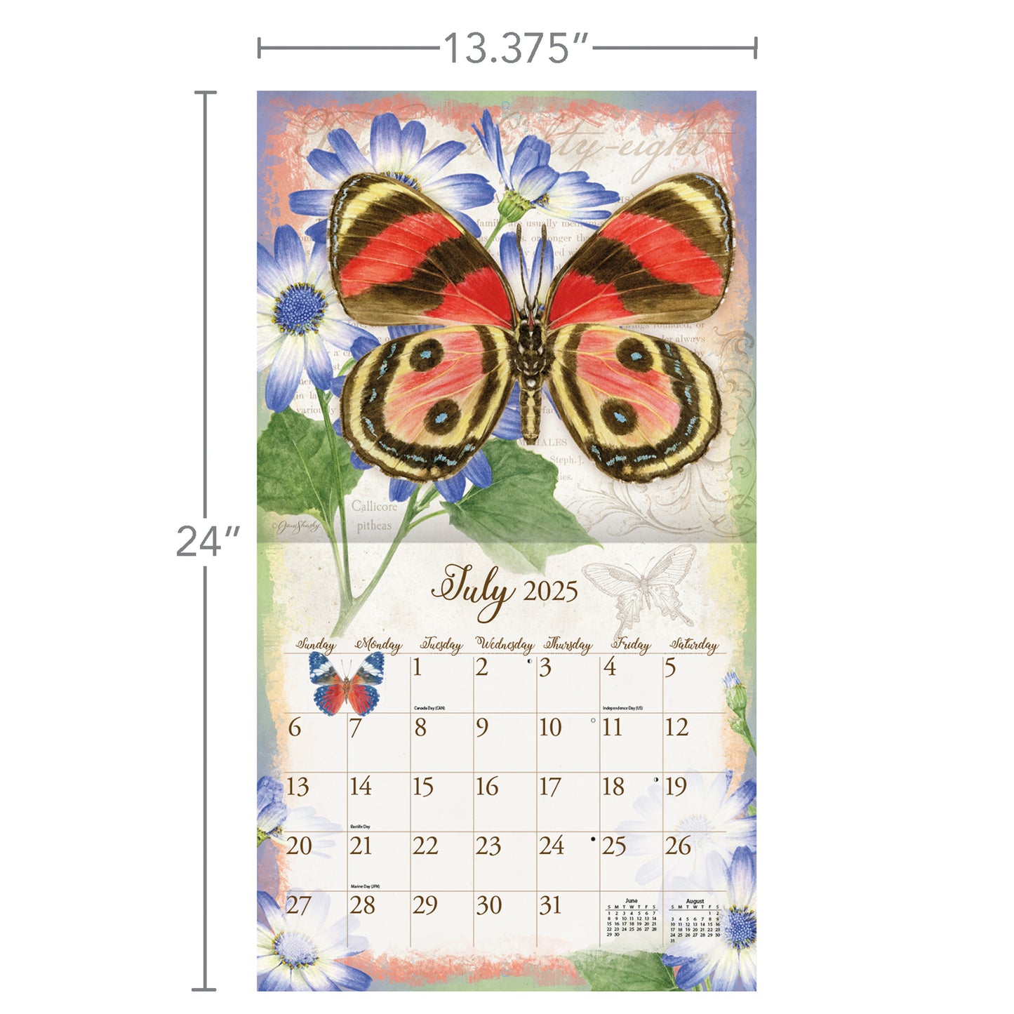 Butterflies 2025 Wall Calendar