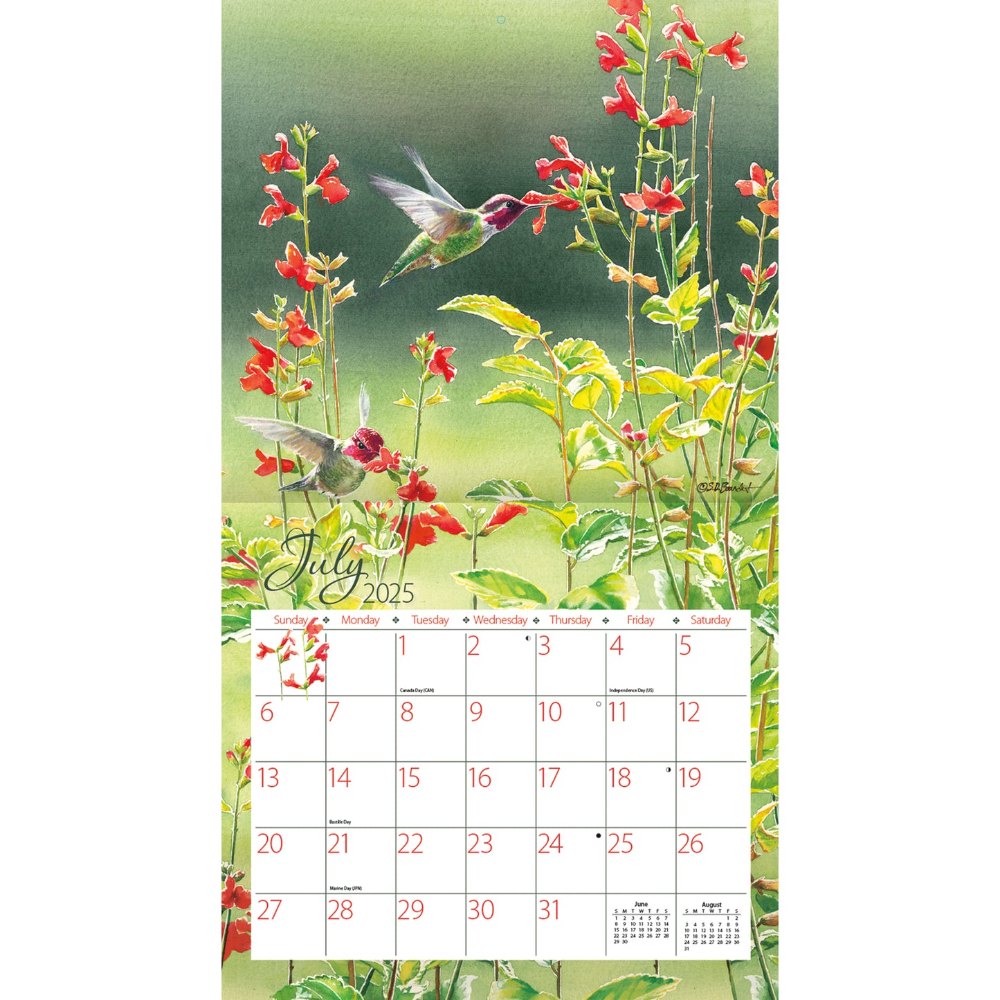 Hummingbirds 2025 Wall Calendar