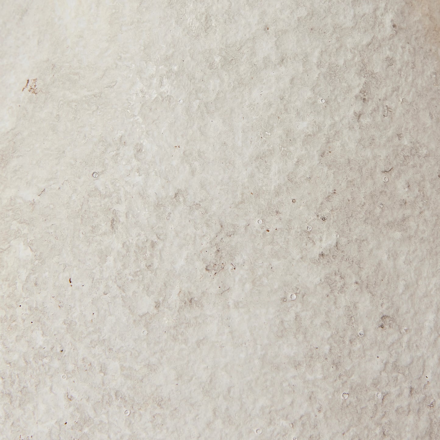 Bartlett Antique Cream Pear