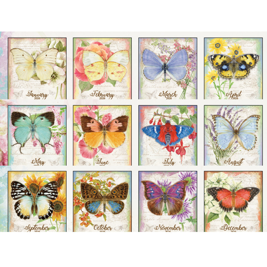 Butterflies 2026 Wall Calendar