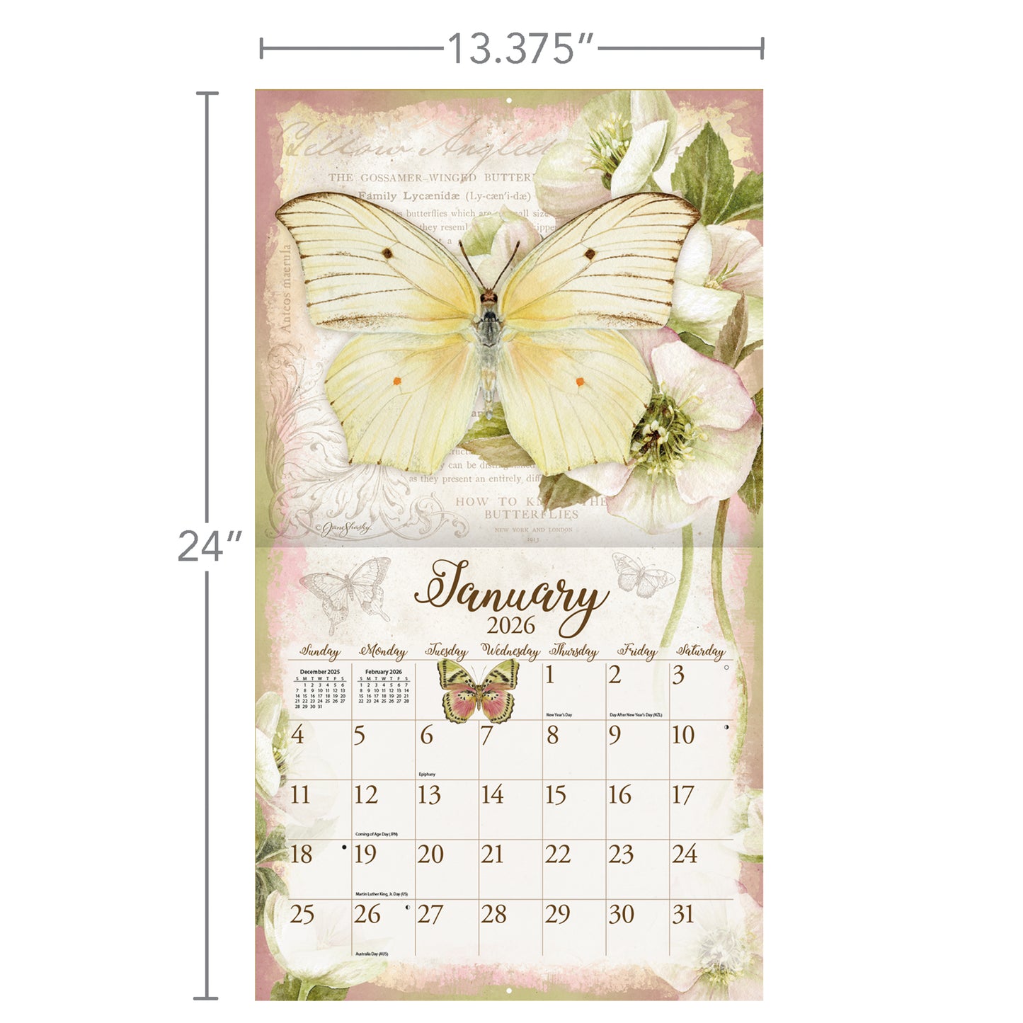 Butterflies 2026 Wall Calendar