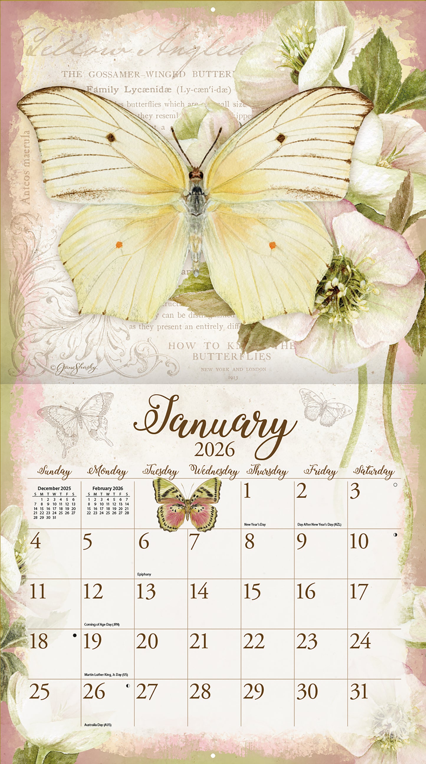Butterflies 2026 Wall Calendar