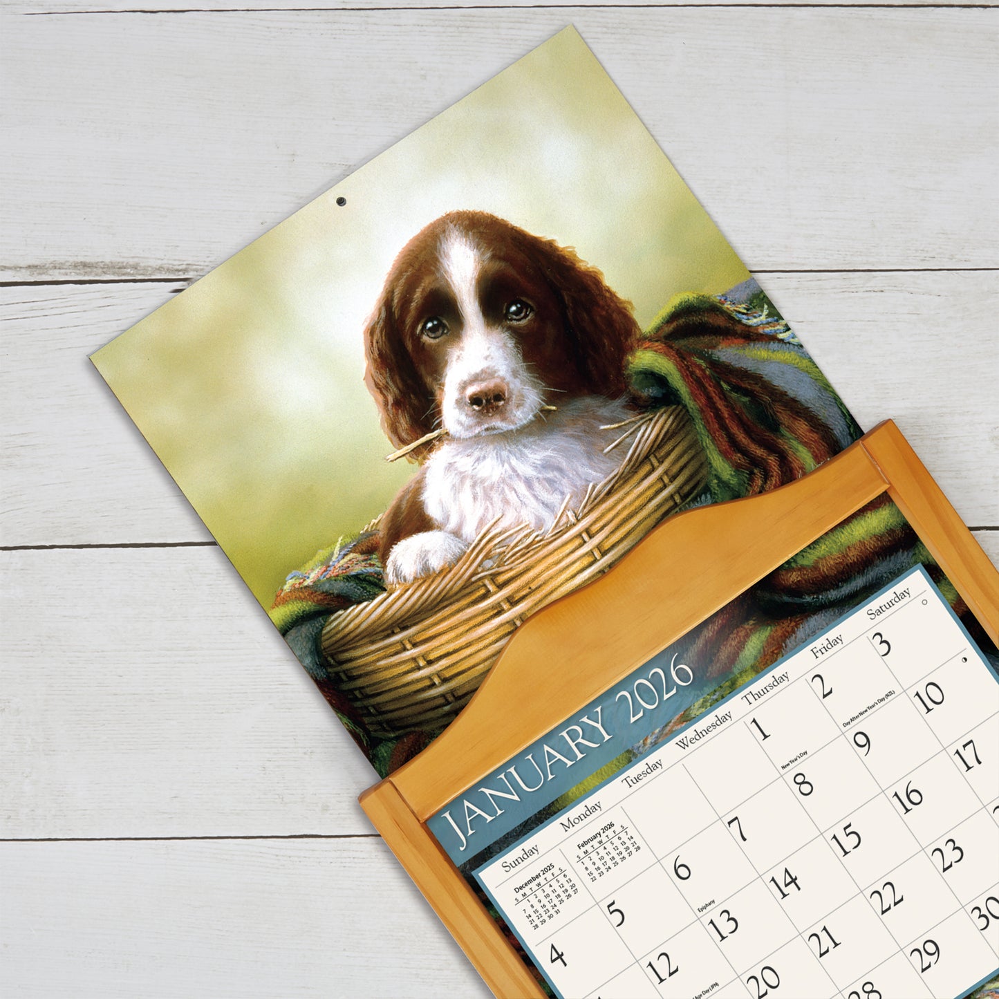 Love of Dogs 2026 Wall Calendar